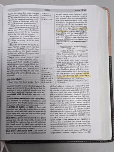 NIV Fire Bible Global Study Edition Chocolate Pink Flexisoft Leather Hendri - Thumbnail 13