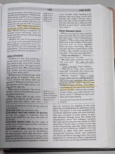 NIV Fire Bible Global Study Edition Chocolate Pink Flexisoft Leather Hendri - Thumbnail 12