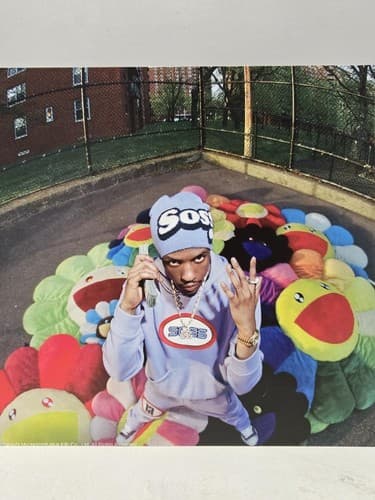 Streetwear Fashion Poster Art Print Murakami Flower Pillow Hypebeast Style - Thumbnail 2