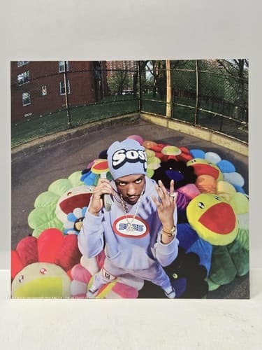 Streetwear Fashion Poster Art Print Murakami Flower Pillow Hypebeast Style