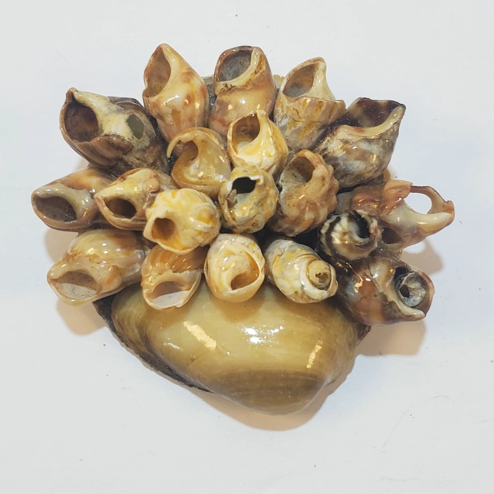 Vintage Artisan Handcrafted Seashell Basket of Flowers Floral Brooch Pin