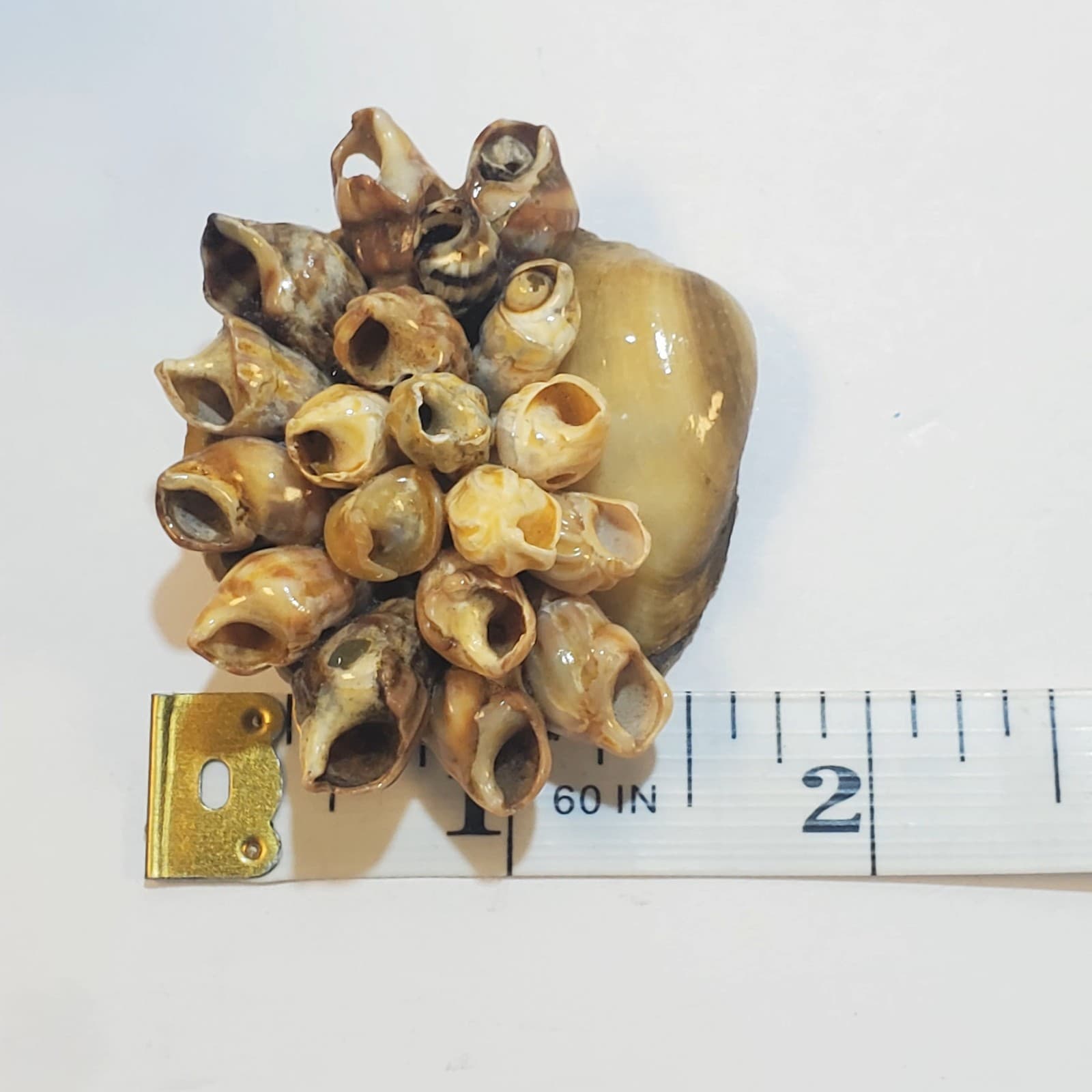 Vintage Artisan Handcrafted Seashell Basket of Flowers Floral Brooch Pin - Thumbnail 4
