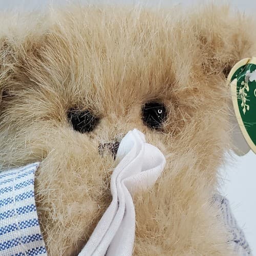 Bearington Collection GET WELL SOON Limited Collectible Illie Willie Bear Plush - Thumbnail 8