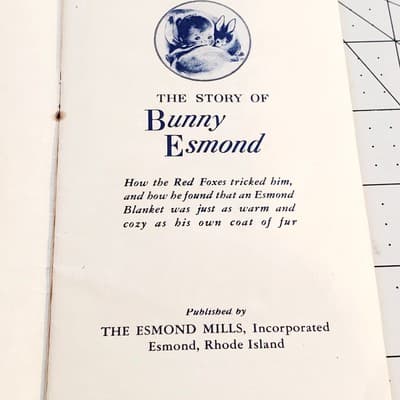 Vintage 1945 Story of Bunny Esmond Paperback Pamphlet Children's Book WRITTEN IN - Thumbnail 10