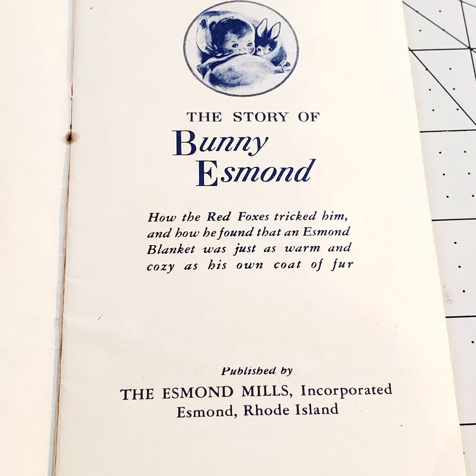 Vintage 1945 Story of Bunny Esmond Paperback Pamphlet Children's Book WRITTEN IN - Thumbnail 14