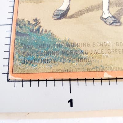 1880's Dobbin's Electric Soap Numbered Set Victorian Trade Cards (Card No. 2) - Thumbnail 7