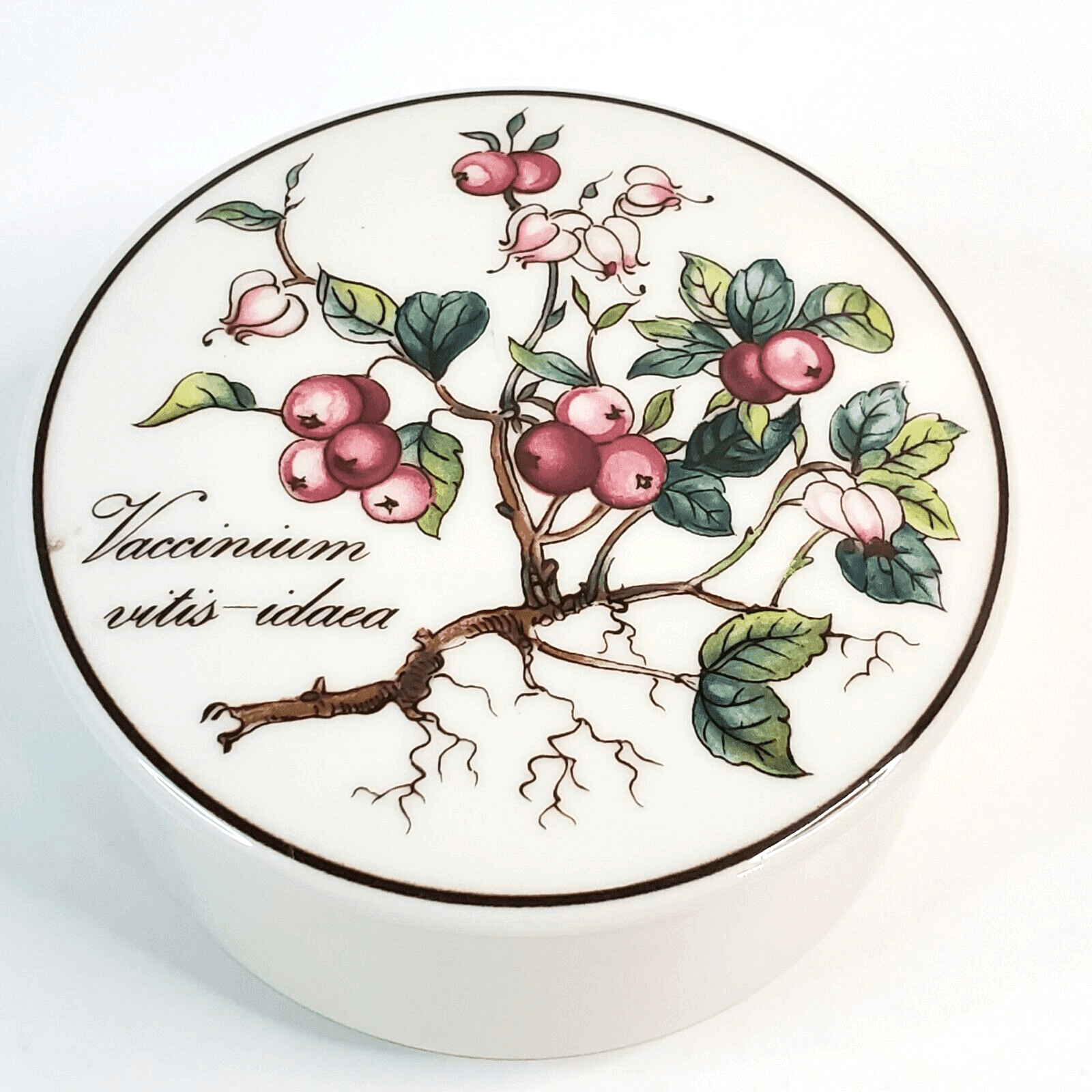 Villeroy & Boch Botanica Lingonberry Plant Floral Trinket Box w Lid Luxembourg