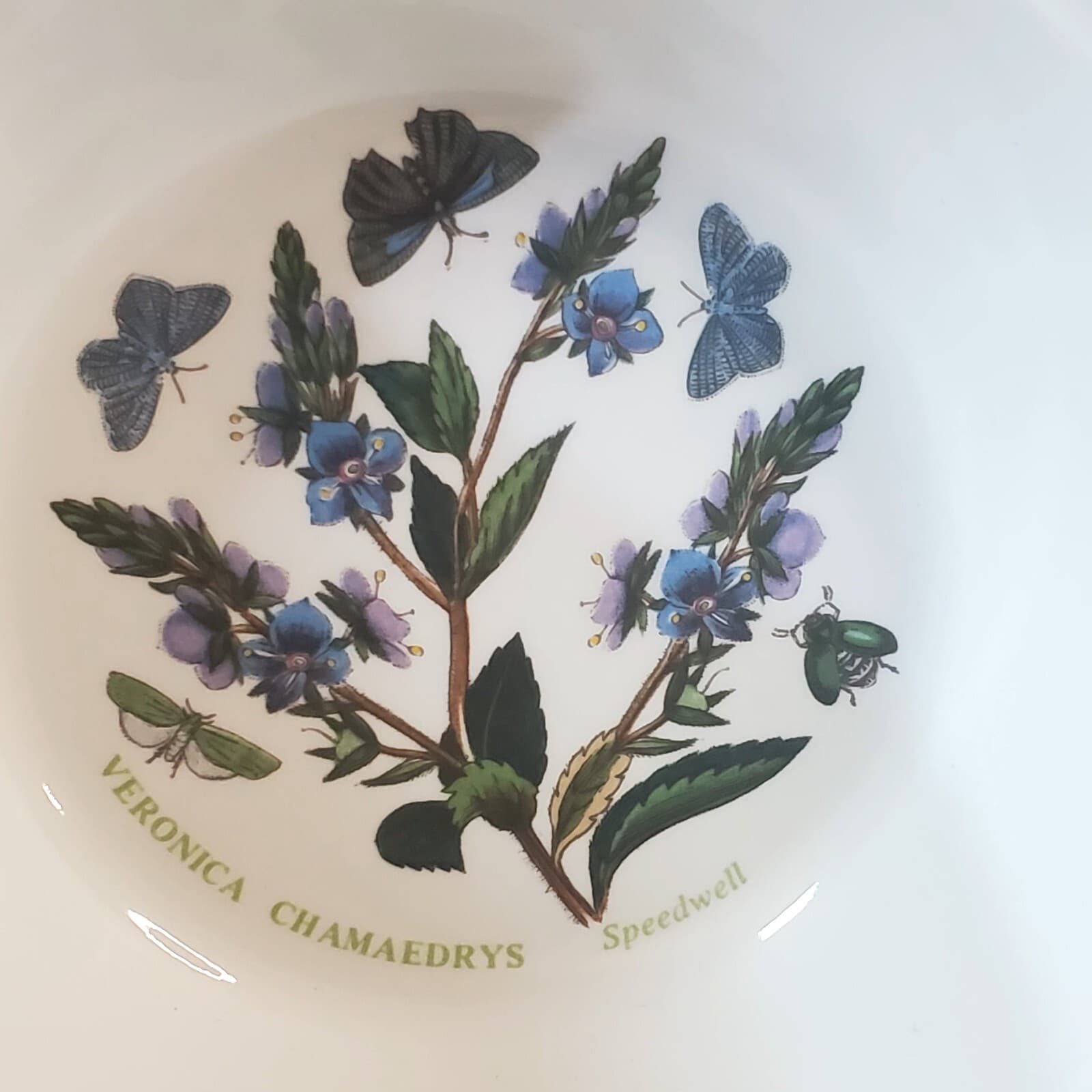 Vtg 1972 Portmeirion Botanic Garden Floral Veronica Chamaedrys Soup Cereal Bowl - Thumbnail 3