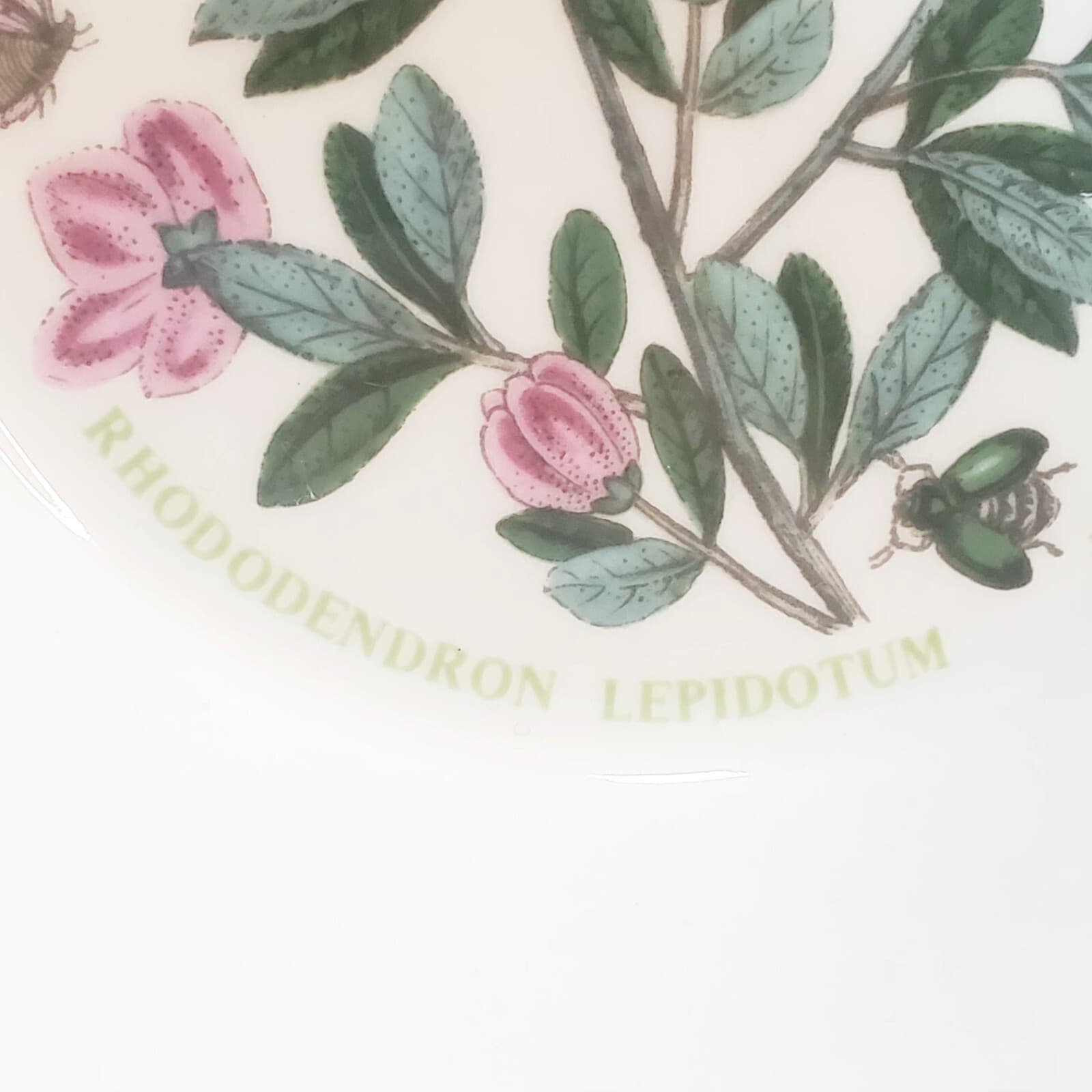 Vintage 1972 Portmeirion Botanic Garden Floral Rhododendron Soup Cereal Bowl - Thumbnail 5