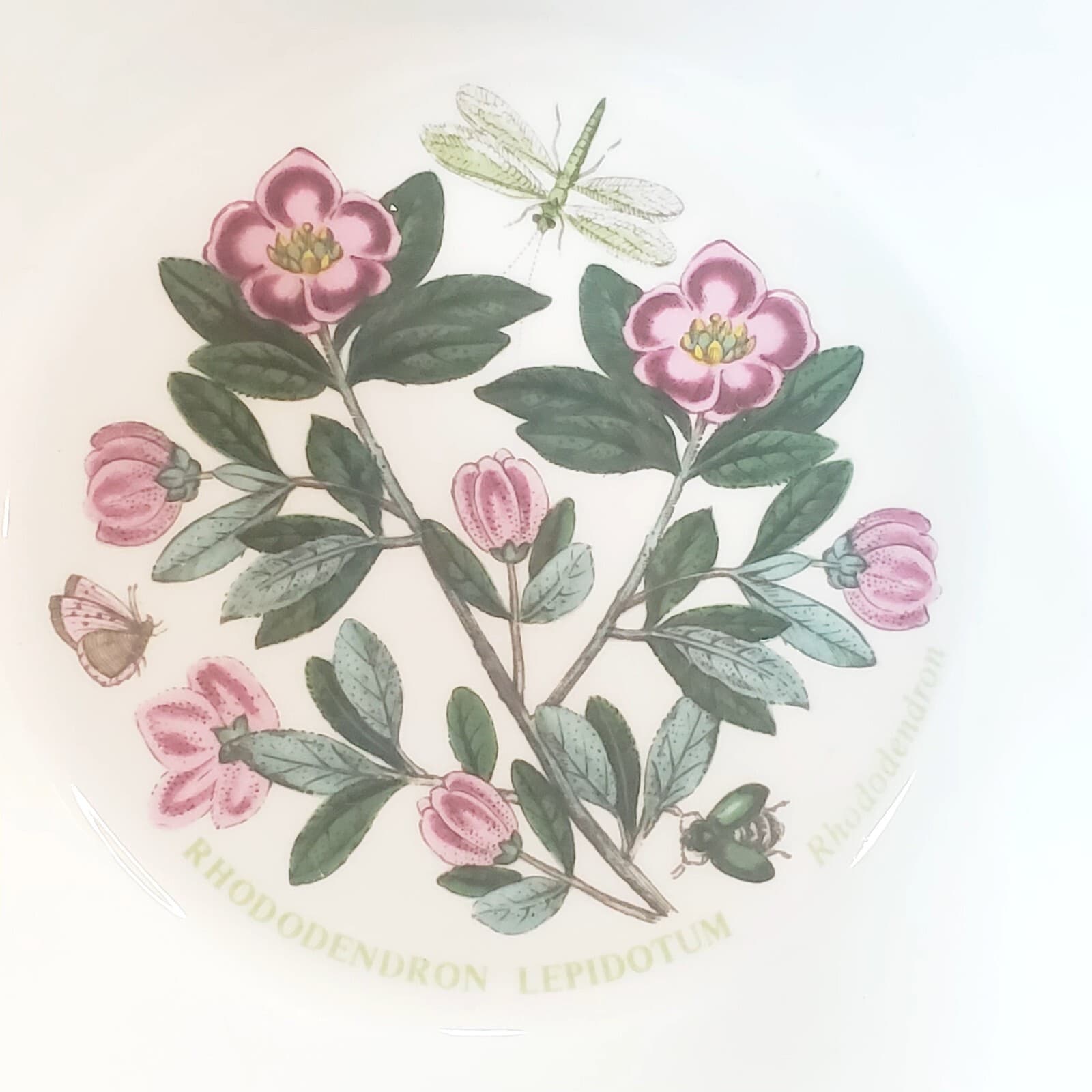 Vintage 1972 Portmeirion Botanic Garden Floral Rhododendron Soup Cereal Bowl - Thumbnail 4