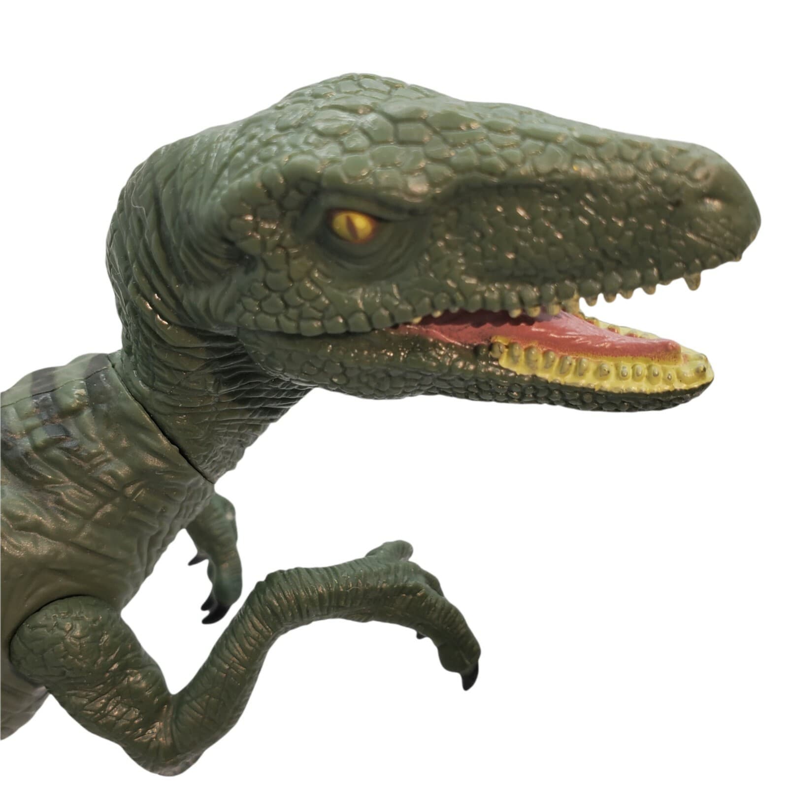 2015 Hasbro Jurassic World Green Black Stripe Velociraptor Toy Dinosaur Figure - Thumbnail 3