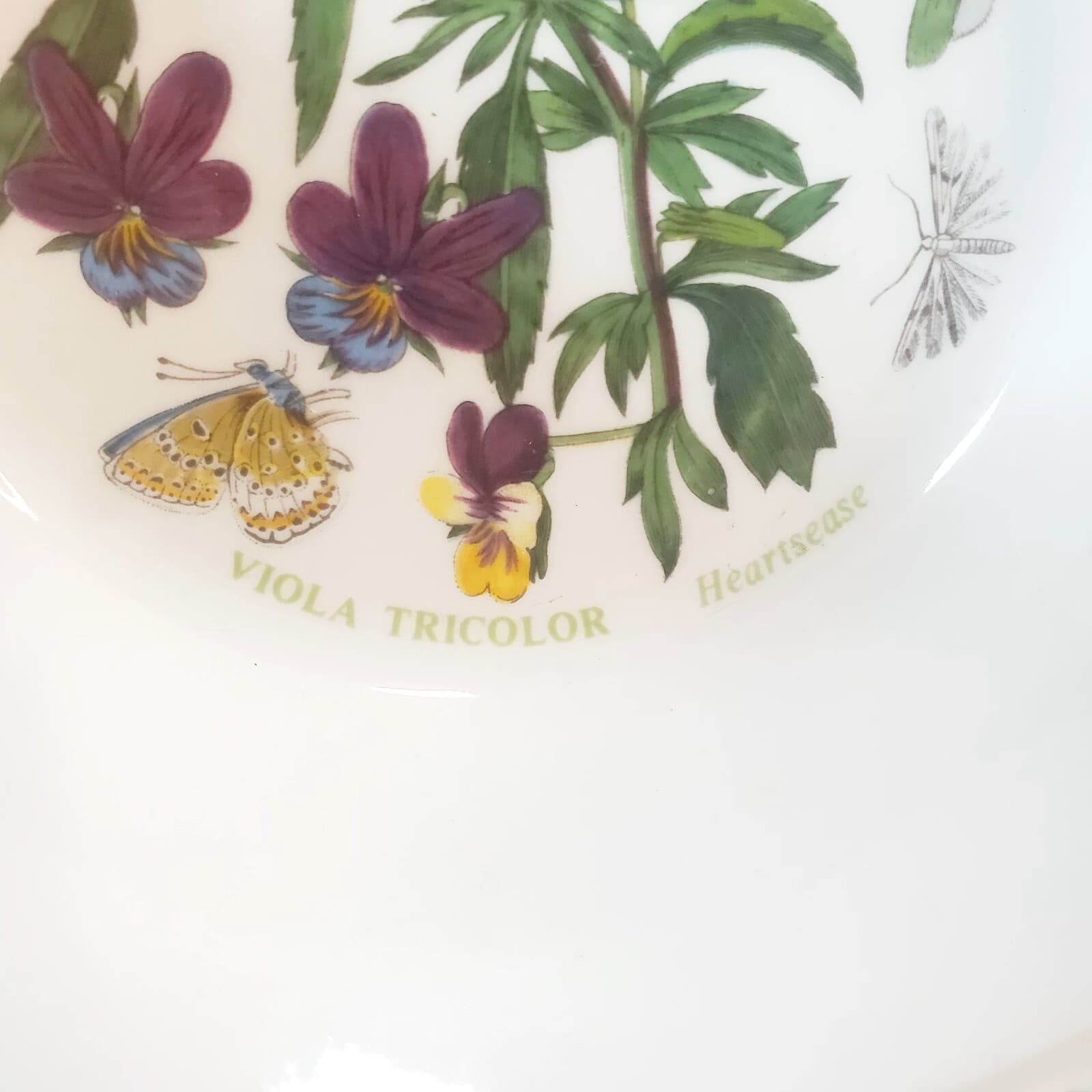 Vtg 1972 Portmeirion Botanic Garden Viola Tricolor Chamaedrys Soup Cereal Bowl - Thumbnail 3