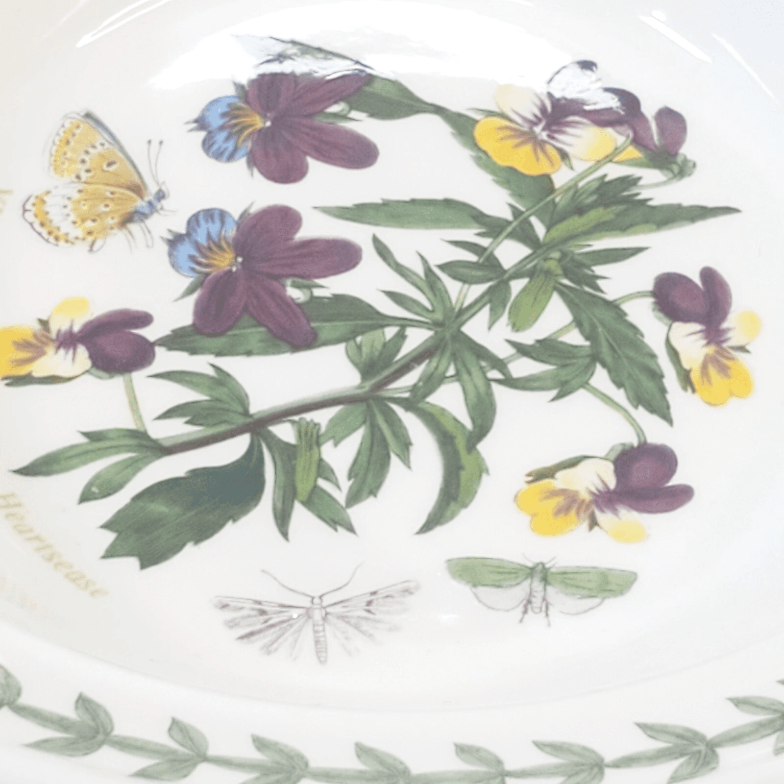 Vtg 1972 Portmeirion Botanic Garden Viola Tricolor Chamaedrys Soup Cereal Bowl - Thumbnail 4
