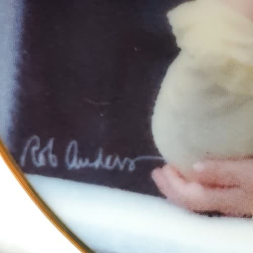 Vintage 1996 Porterfield's Rob Anders Miniature Plate Moments of Wonder #3100A - Thumbnail 3