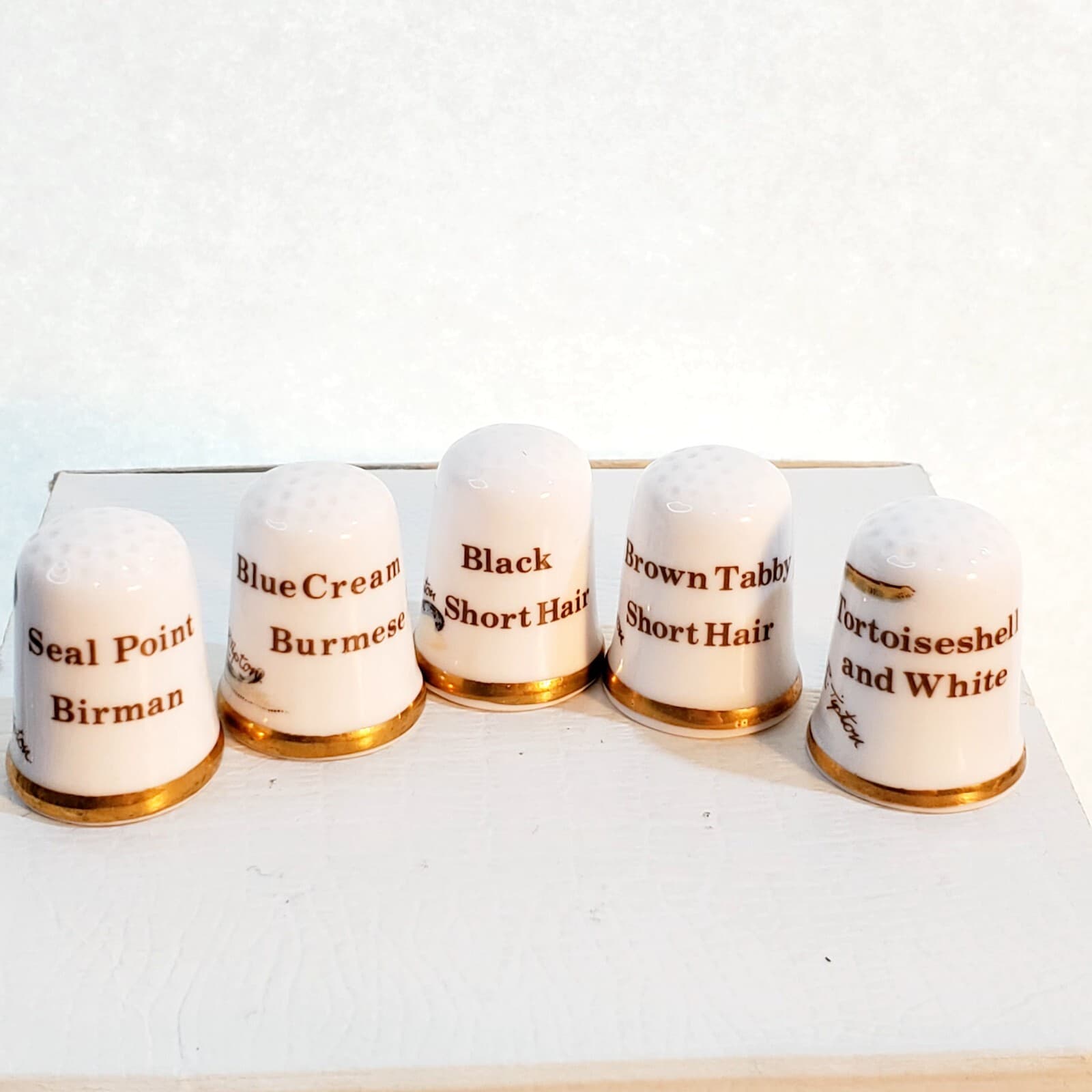 Vtg CAVERSWALL England Porcelain Cats Kittens Sewing Thimble Artist W.R. Tipton - Thumbnail 8