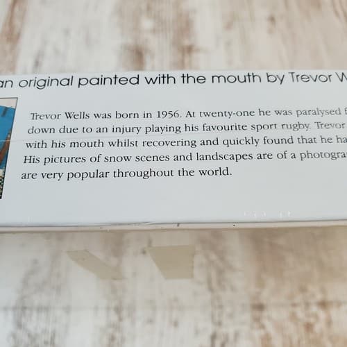 Mouth & Foot Painting Trevor Wells 1000pc Jigsaw Puzzle West Tanfield New Sealed - Thumbnail 8