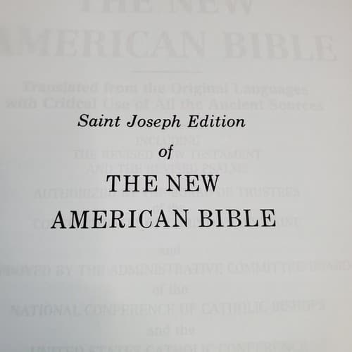 Vtg St Joseph Edition Illustrated Fine Art Bible New American Bible White Padded - Thumbnail 4
