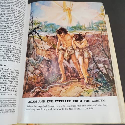 Vtg St Joseph Edition Illustrated Fine Art Bible New American Bible White Padded - Thumbnail 8