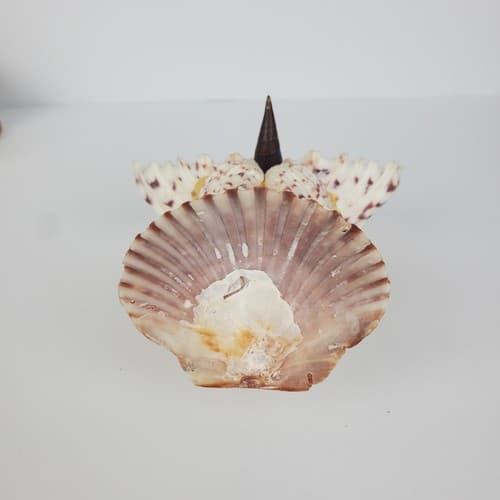 Vintage Sea Shell Owl Art Sculpture Handmade Folk Art Big Eyes - Thumbnail 7