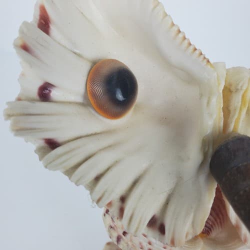 Vintage Sea Shell Owl Art Sculpture Handmade Folk Art Big Eyes - Thumbnail 2