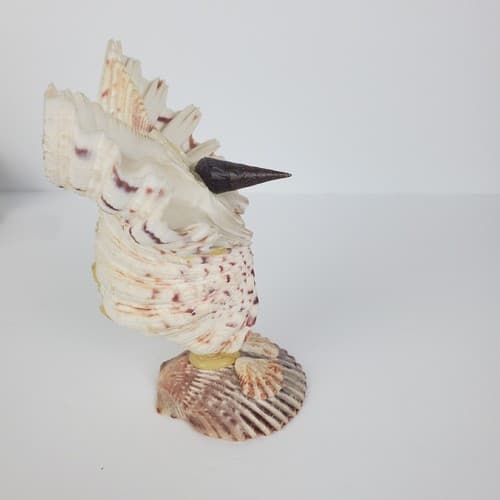 Vintage Sea Shell Owl Art Sculpture Handmade Folk Art Big Eyes - Thumbnail 6