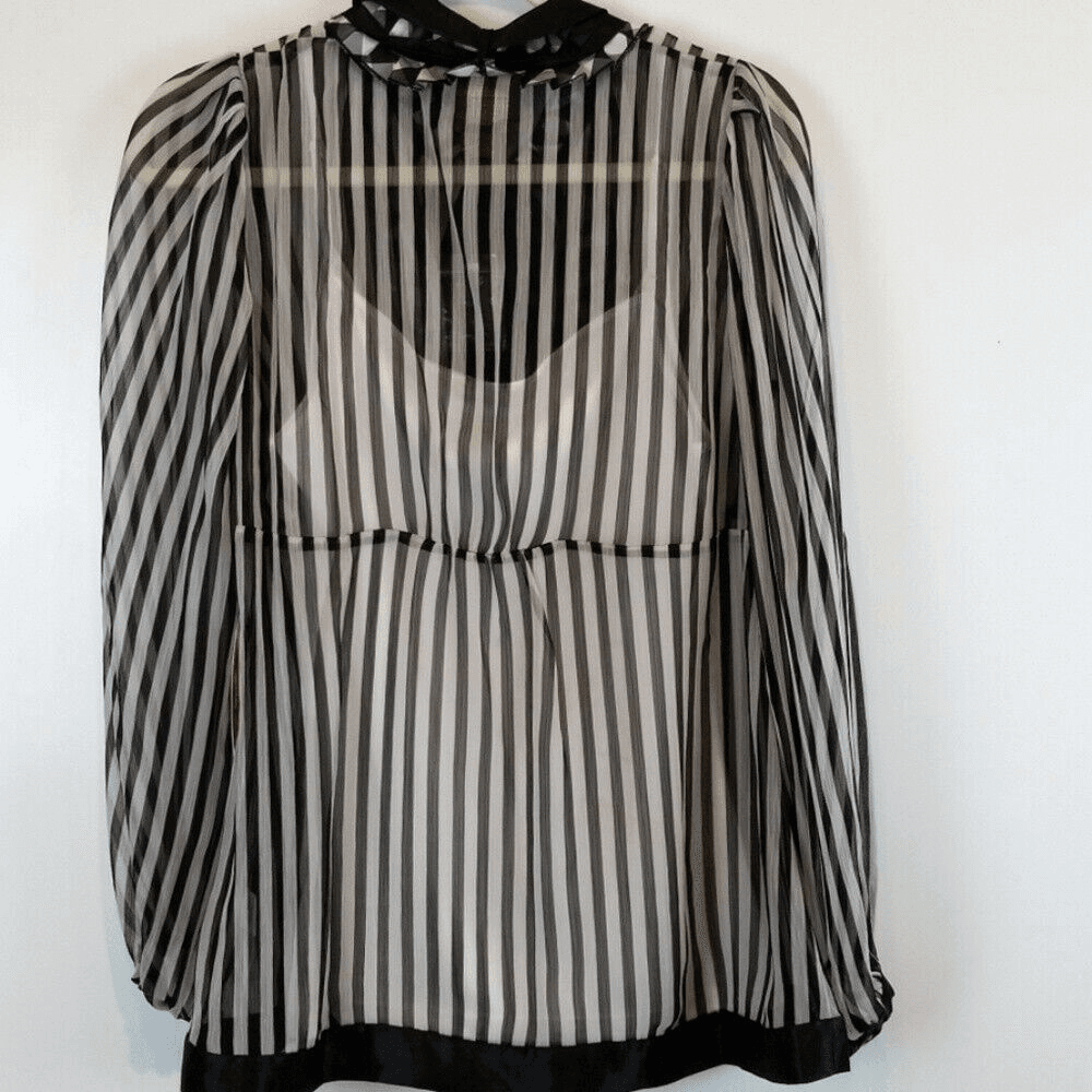 Debbie Shuchat Sheer Striped Ruffle Tie Blouse w/ Under White Camisole - Thumbnail 2