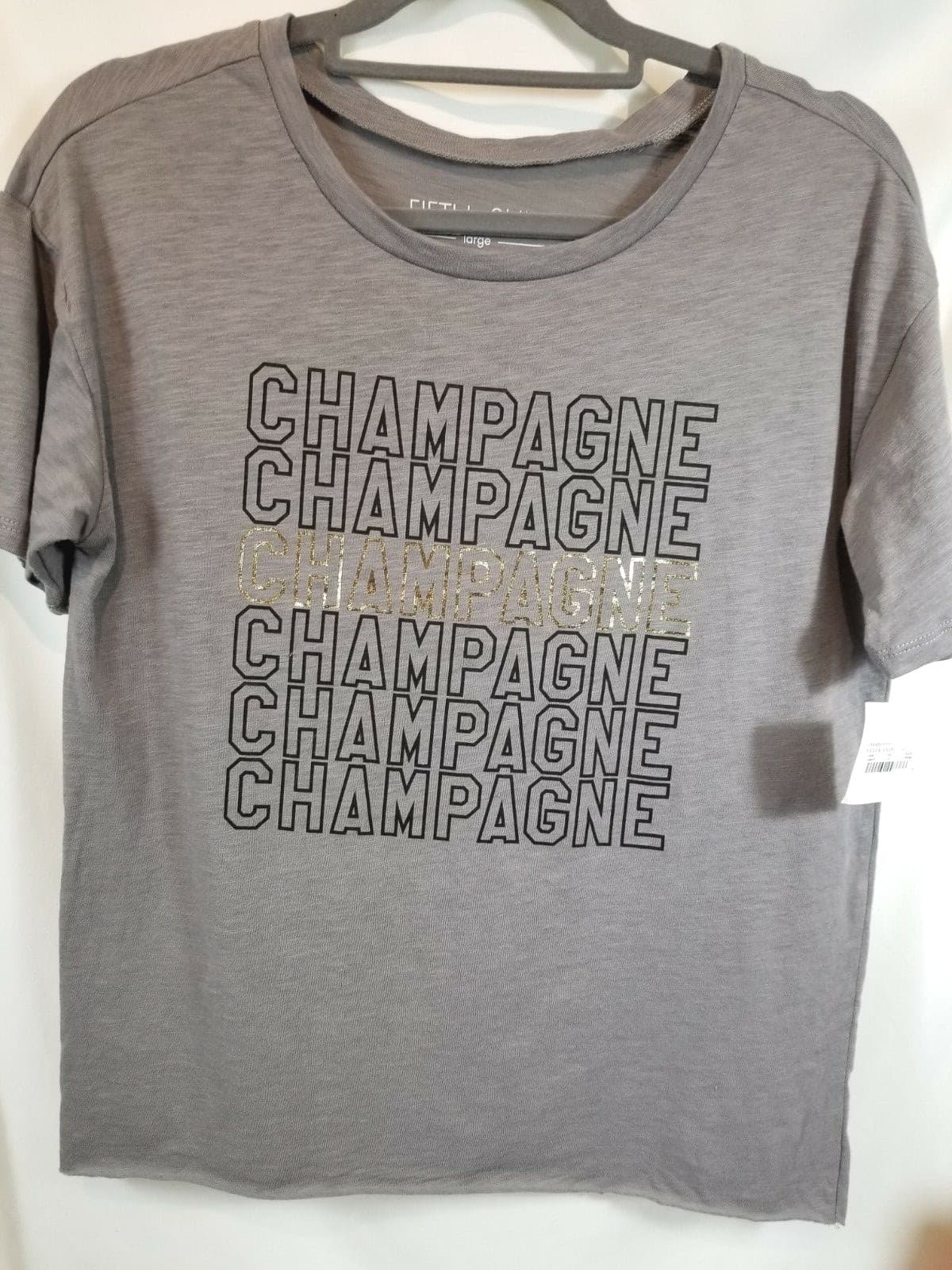 Fifth Sun Size L Graphic Tee champagne Grey New with Tags raw rolled bottom hem