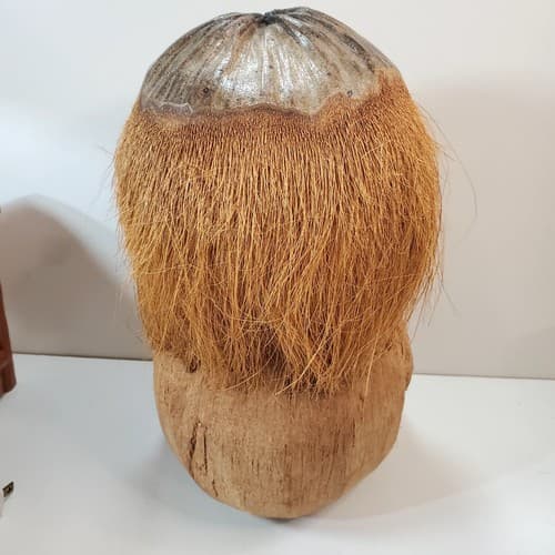 Vintage Hand Carved Coconut Monkey Gorilla Head Glasses Football Tiki Polynesian - Thumbnail 5