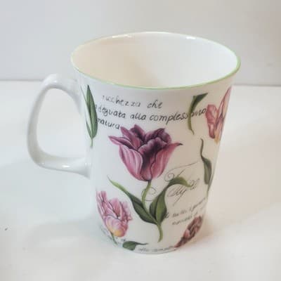 Vintage Rose of England Fine Bone China Floral Flowers Tulipa Coffee Tea Mug Cup