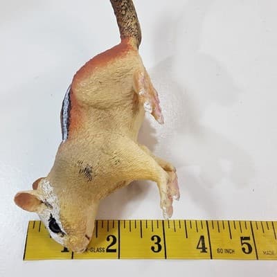 Safari Ltd 2012 Eastern Chipmunk Baby Incredible Creatures Rubber Figure - Thumbnail 9