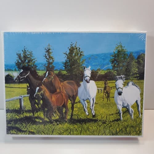 Horses in the Field 1000 Pc Puzzle Artist Mariusz Maczka Size 19.3" x 27"