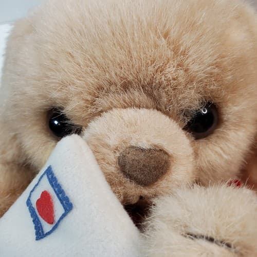 Vtg Russ Caress Soft Pets Brown Puppy Dog I Love You Stuffed Animal Plush Toy - Thumbnail 8