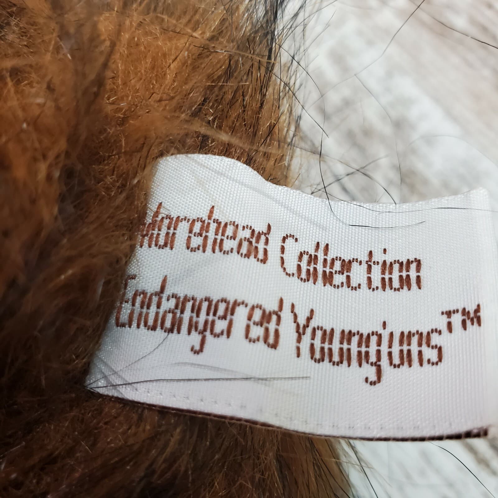 Vtg Morehead Collection Endangered Younguns Realistic Chimpanzee Plush 12” 1997 - Thumbnail 6