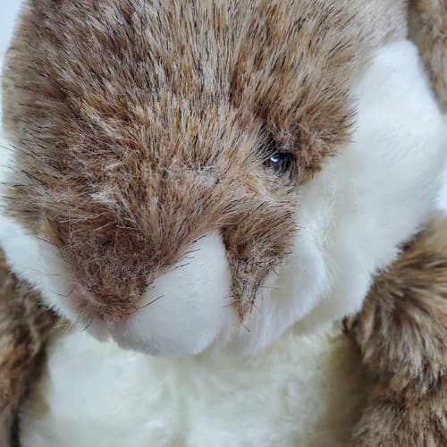 Westcliff Collection Brown White Bunny Rabbit Plush Stuffed Animal 11" Sitting - Thumbnail 2