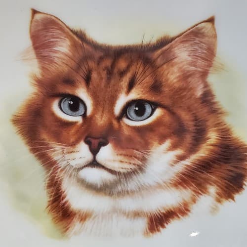 Schumann Arzberg 1970s Germany Golden Crown E & R Coon Cat Small Trinket Dish - Thumbnail 2