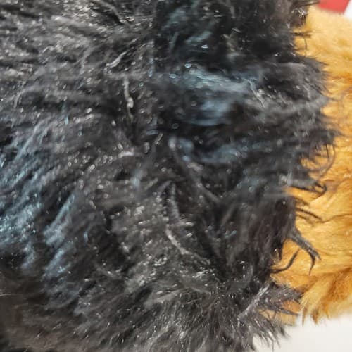 Aurora Black Bear w/Brown Paws & Snout 9" Plush Teddy Bear Toy - Thumbnail 10