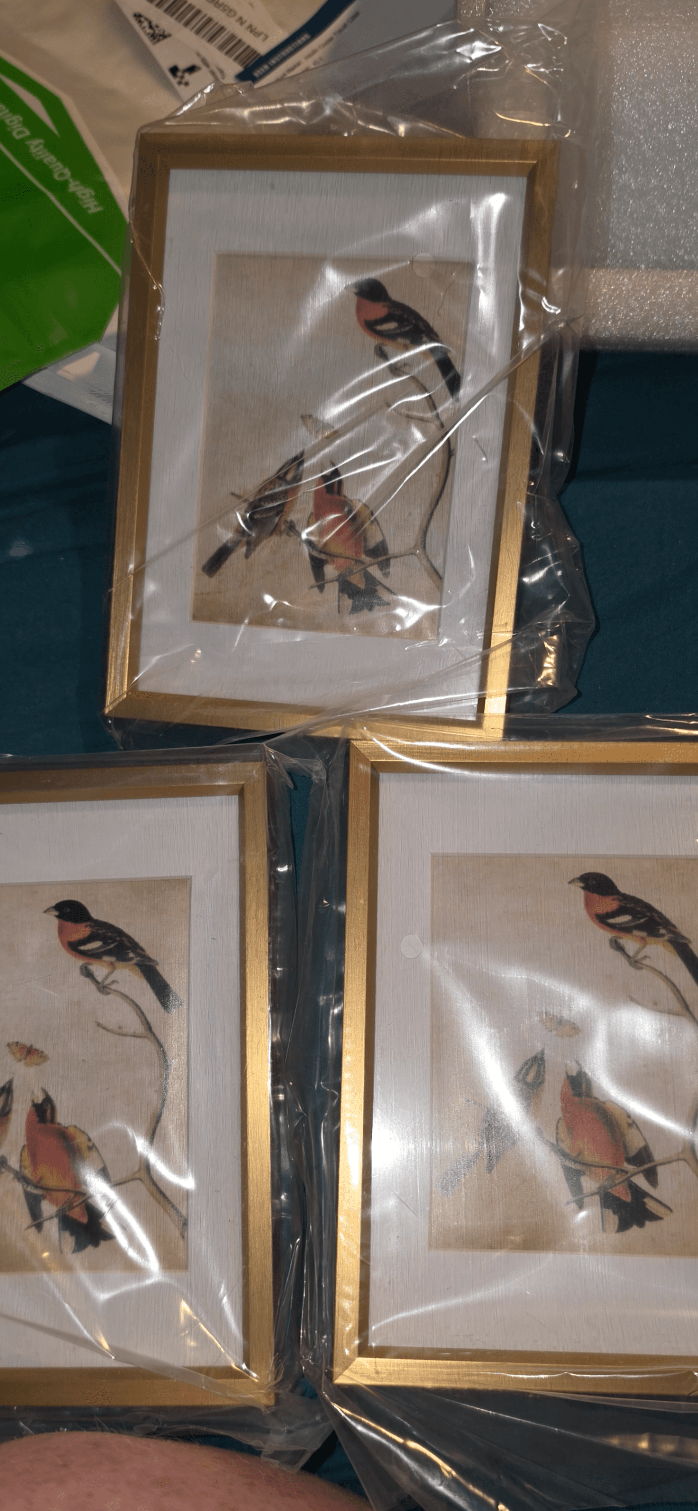 Set of 3 Bird Art Prints in Gold Frames