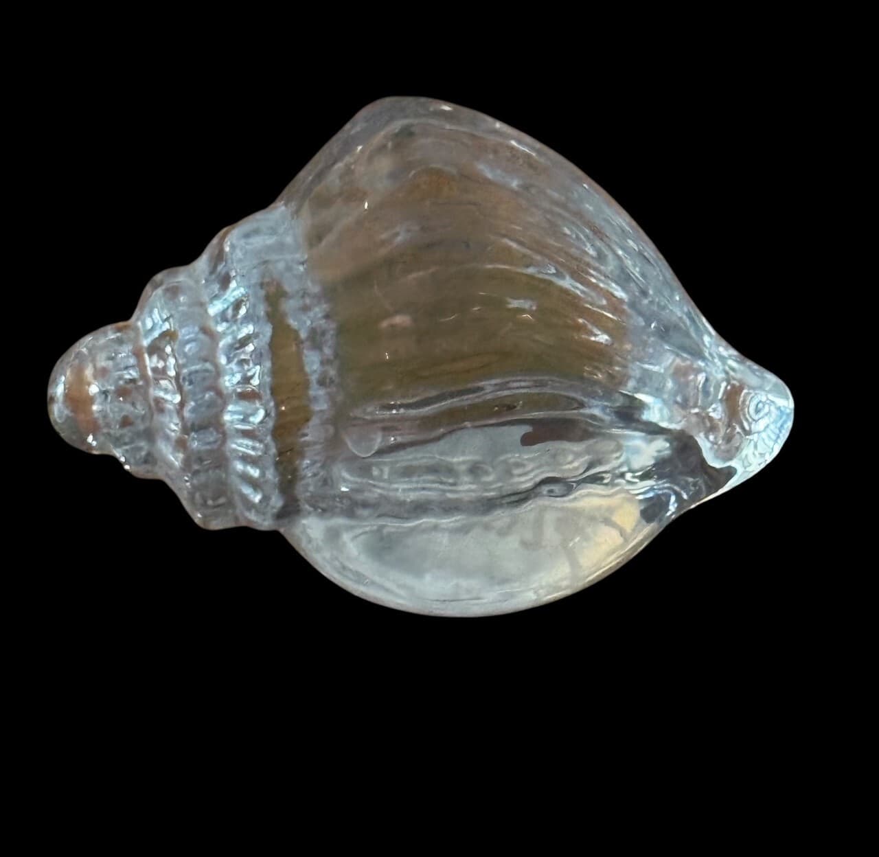 Vintage Conch Sea Shell Clear Glass Art Paperweight 5" - Thumbnail 2