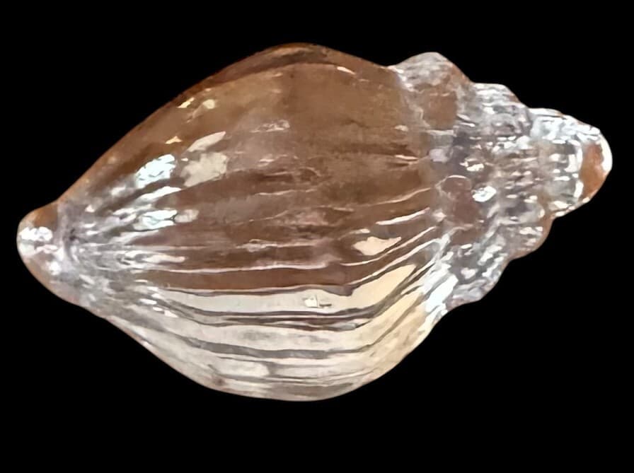 Vintage Conch Sea Shell Clear Glass Art Paperweight 5" - Thumbnail 3