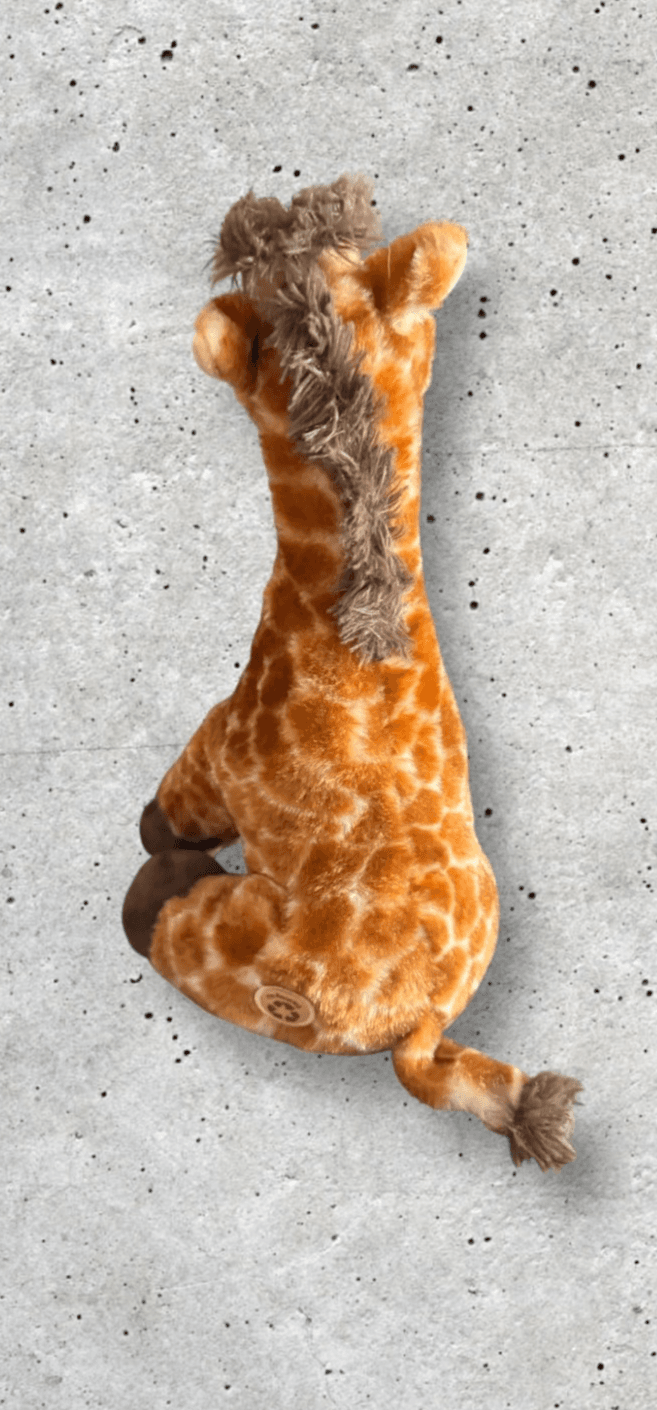 The Petting Zoo Giraffe - Thumbnail 4
