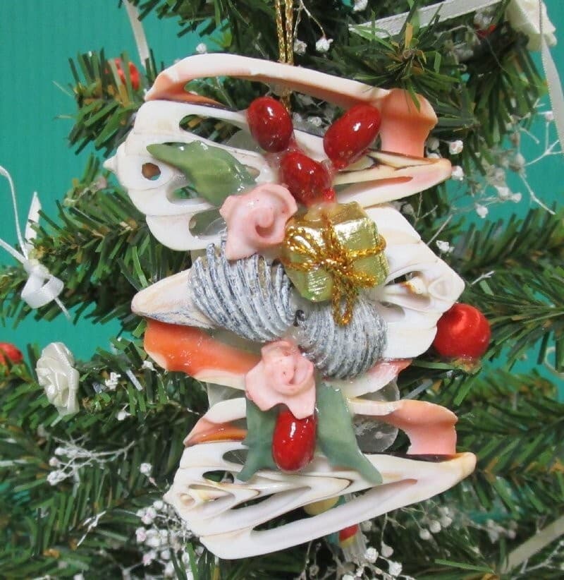 Christmas Ornament Center Cut Strombus w/ Tiny Shells