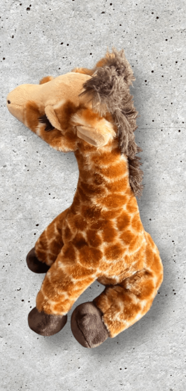 The Petting Zoo Giraffe - Thumbnail 2