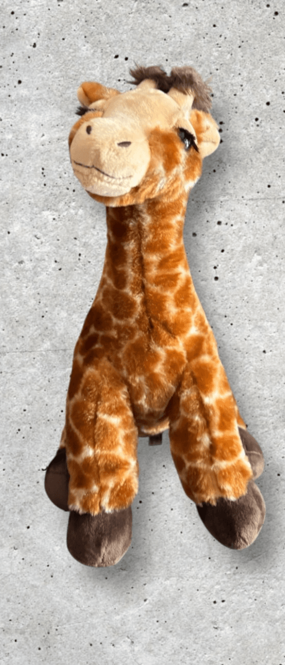 The Petting Zoo Giraffe