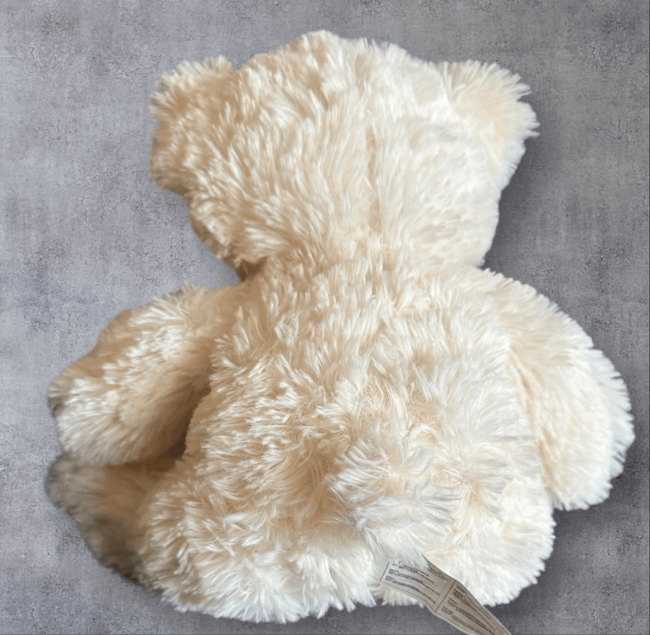Ivory Color Bear - Thumbnail 2