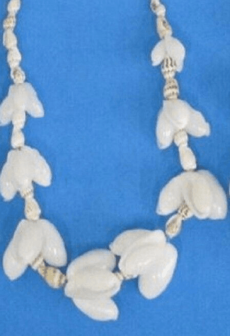 36" Leis Shell Necklace White, Tan & Brown Nassa & Bubble Shells - Thumbnail 2