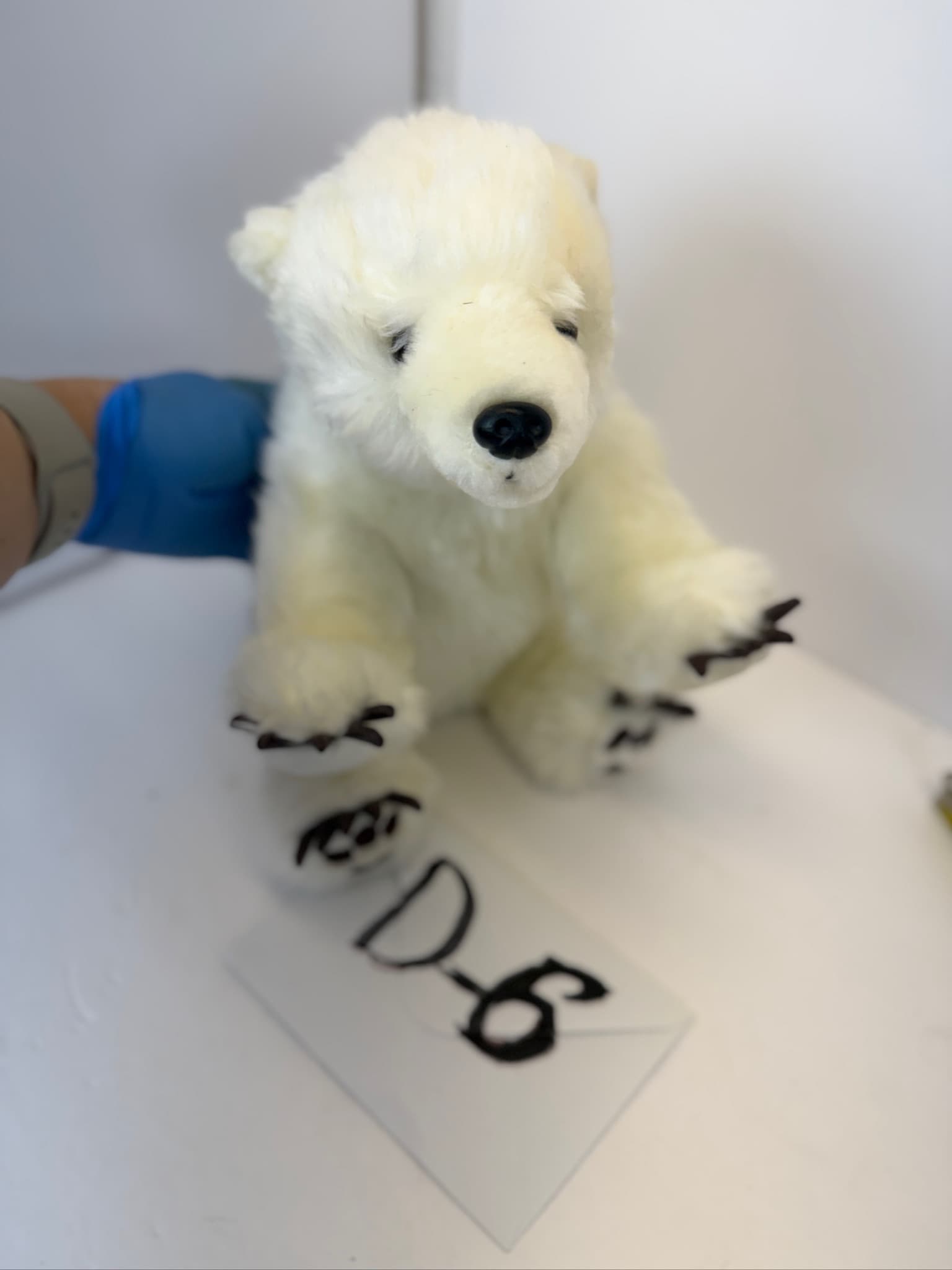National Geographic Polar Bear Plush Toy 10" Stuffed Animal D-6
