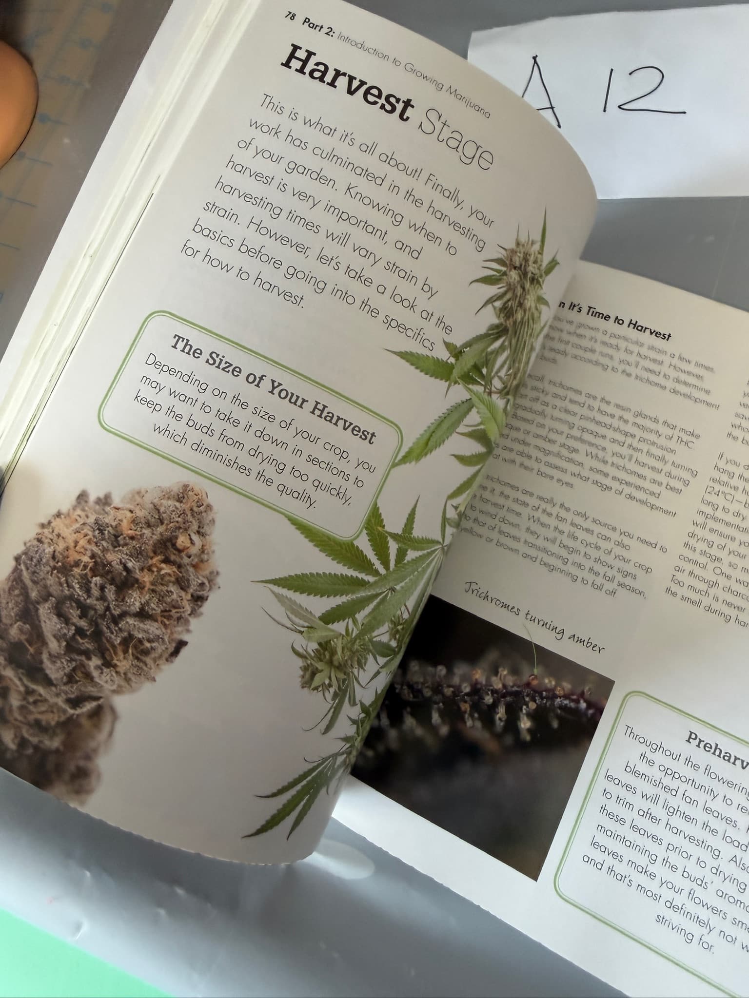 Idiot's Guides Growing Marijuana Book - Expert Advice, Photos, Indoor/Outdoor - Thumbnail 3