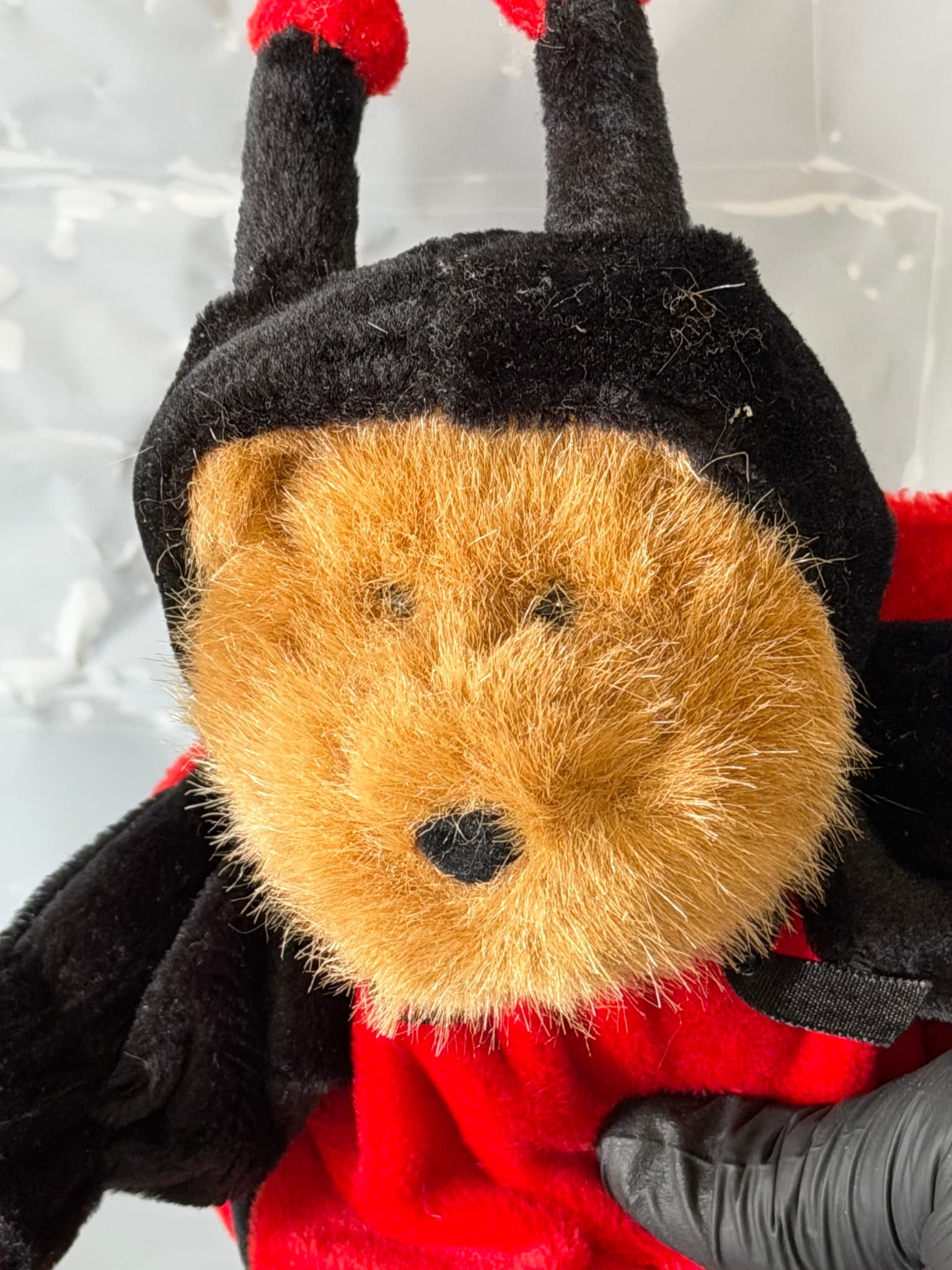 G.A.C. Ladybug Bear Plush Toy Stuffed Animal 1998 - Thumbnail 7