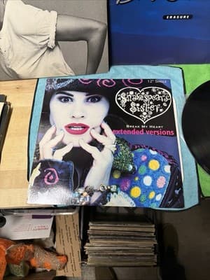 Lot of 6 Vinyl Records – Diana Ross, Brubeck, Erasure, Holmes, More - Thumbnail 12