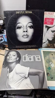 Lot of 6 Vinyl Records – Diana Ross, Brubeck, Erasure, Holmes, More - Thumbnail 2